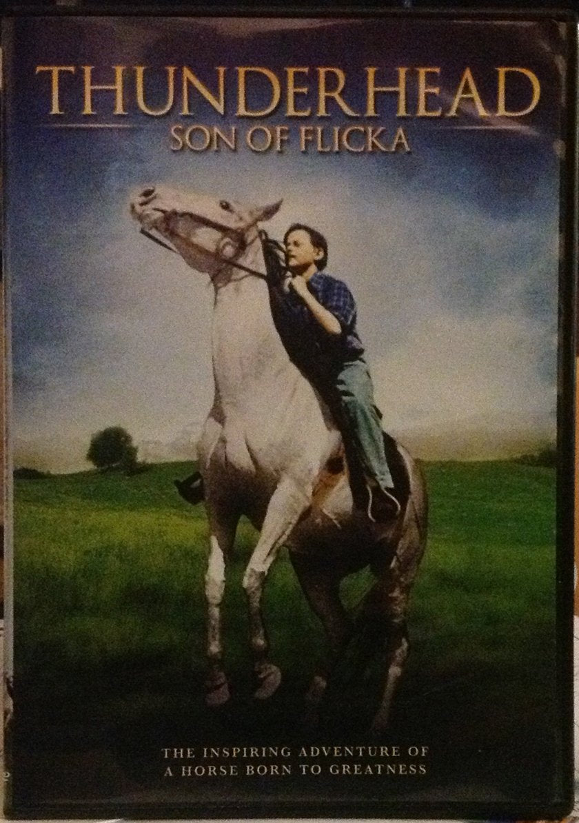 Thunderhead - Son of Flicka