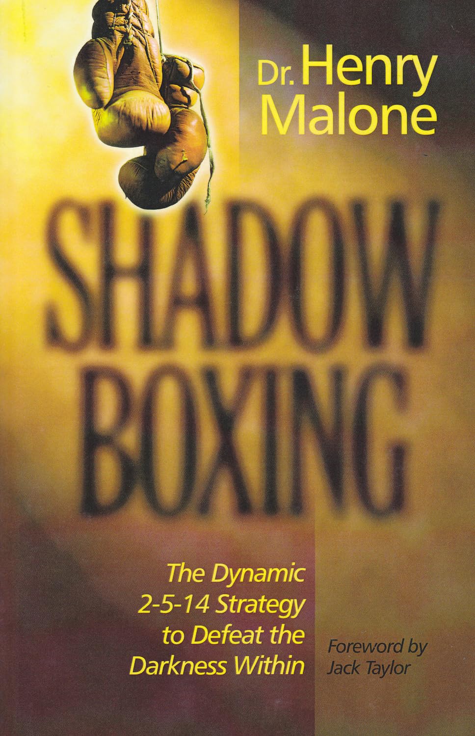Shadow Boxing: The Dynamic 2-5-14 Strategy to Defeat the Darkness Within used book depot