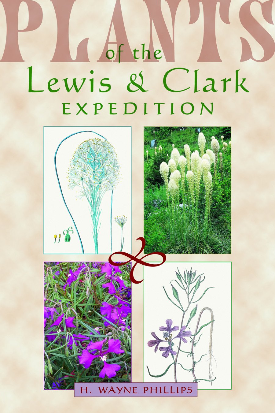 Plants of the Lewis & Clark Expedition used book depot