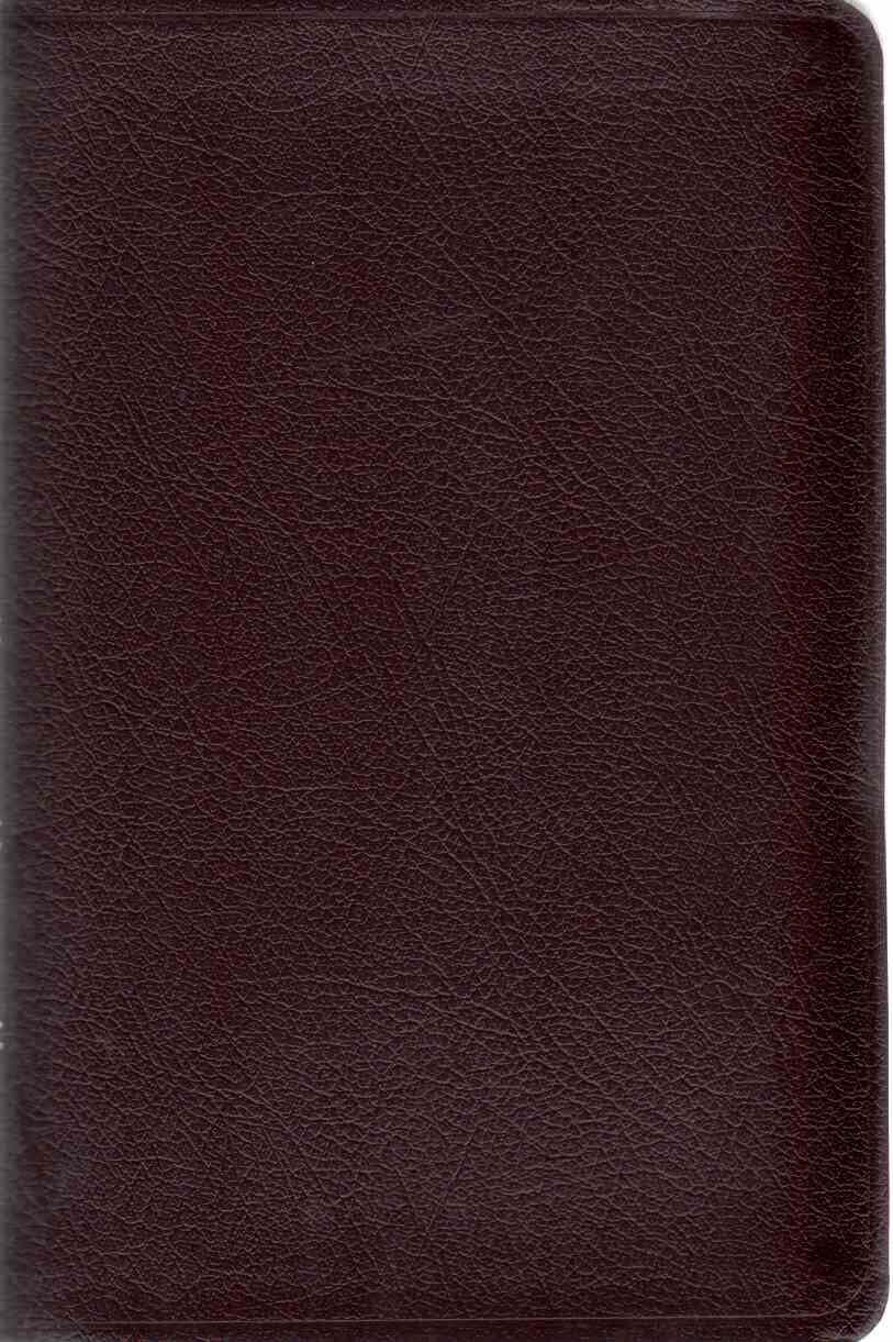 Thinline Bible: New International Version used book depot