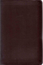 Thinline Bible: New International Version used book depot