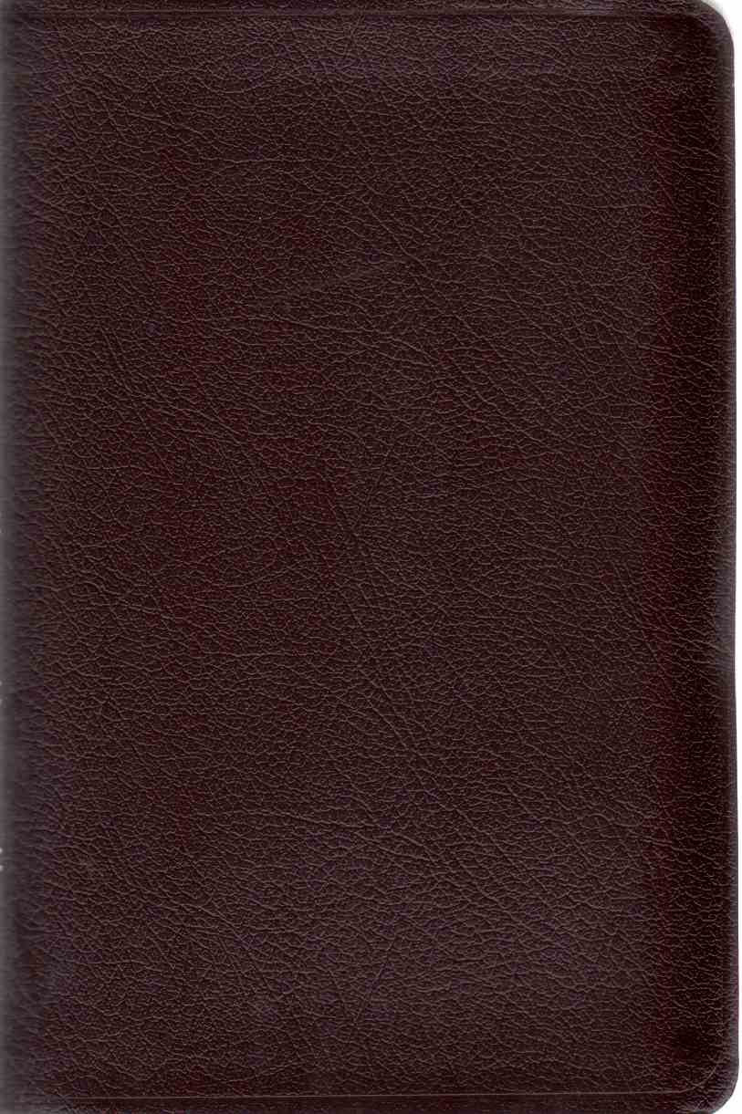 Thinline Bible: New International Version used book depot