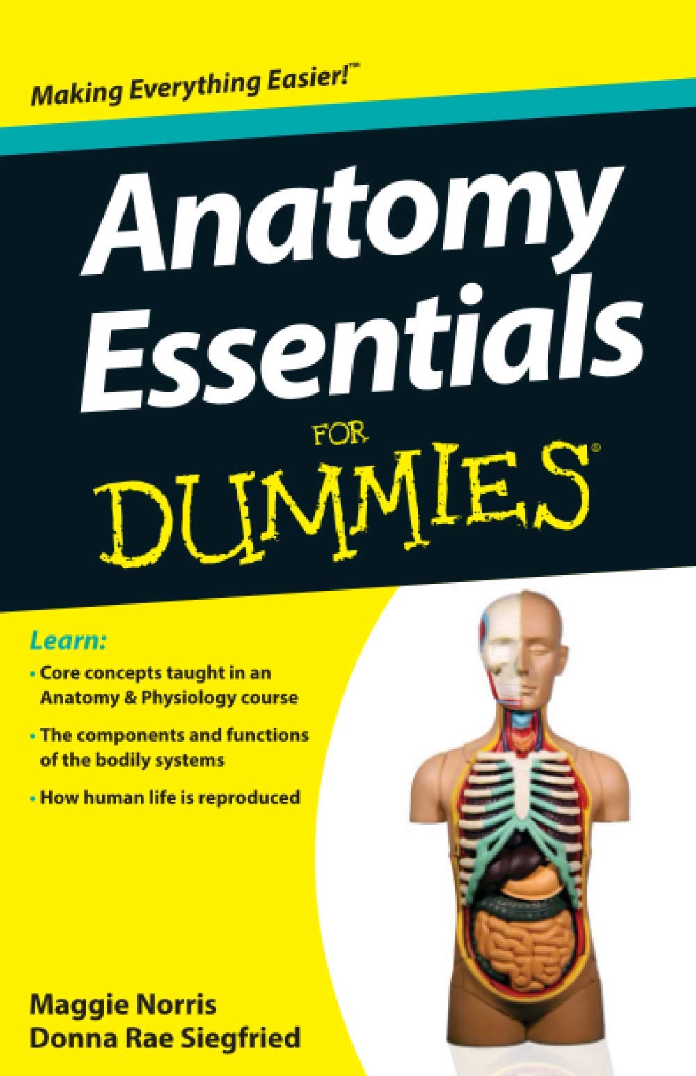 Anatomy Essentials: For Dummies used book depot