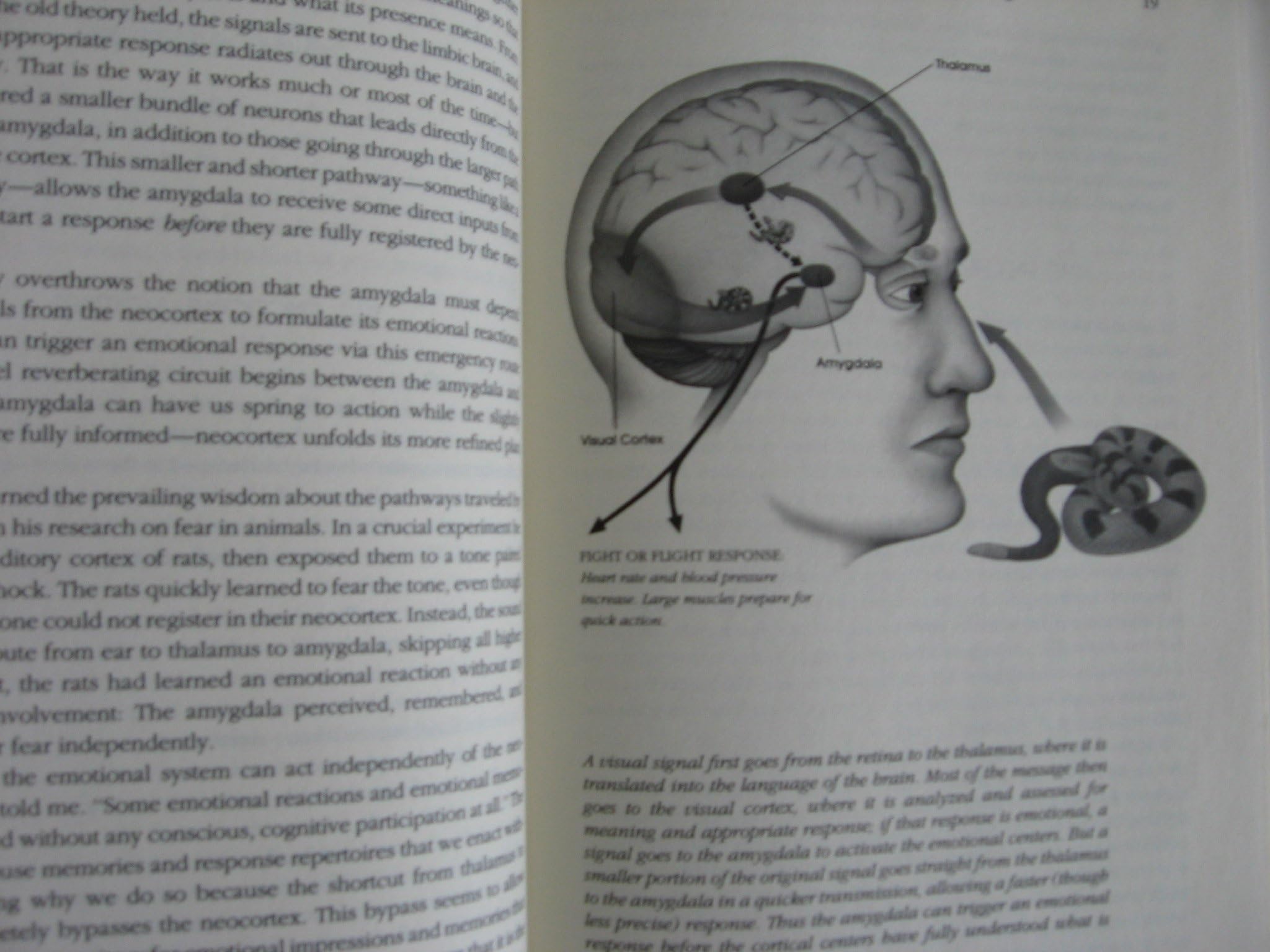 Emotional Intelligence: Why It Can Matter More than IQ used book depot