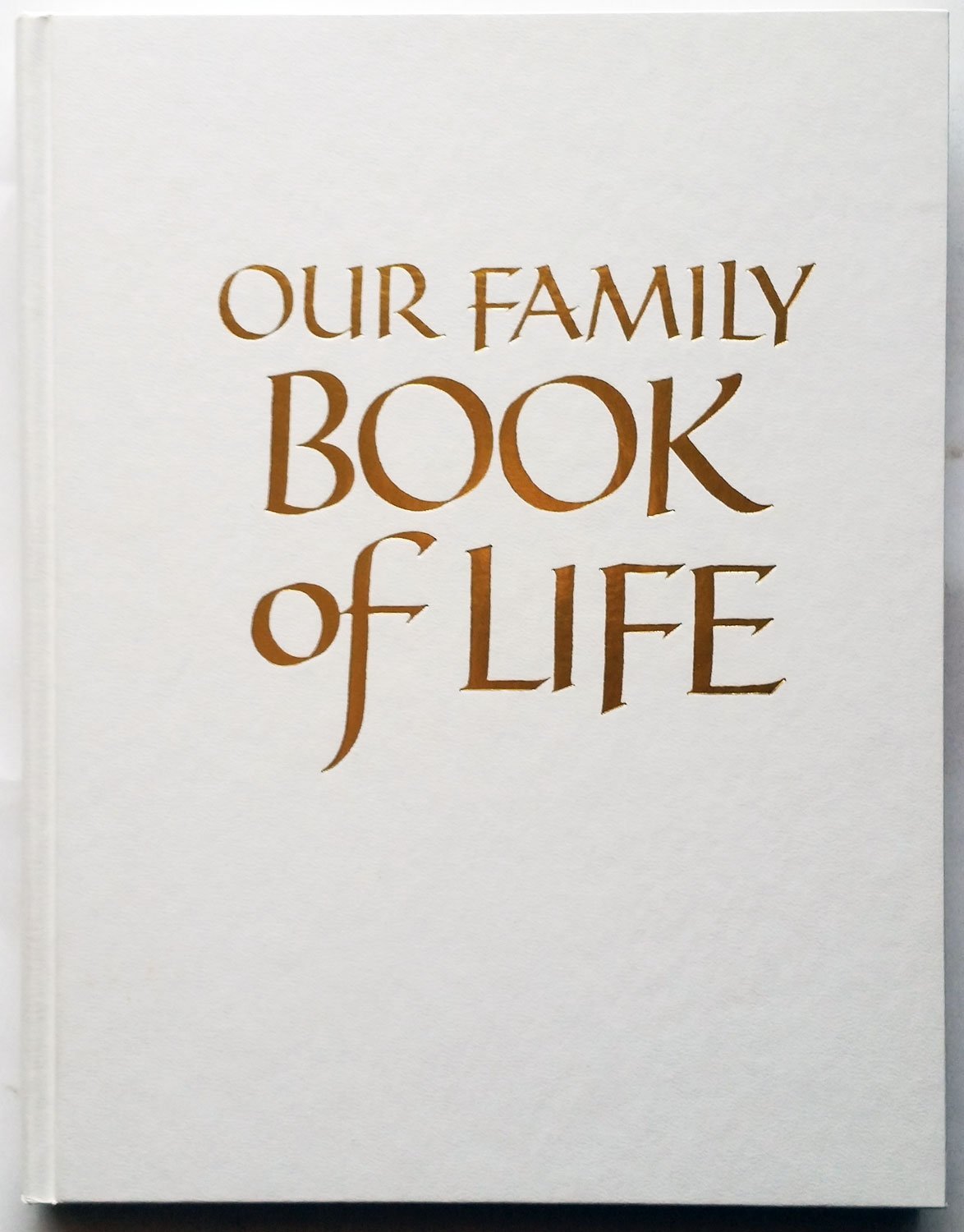 Our Family Book of Life used book depot