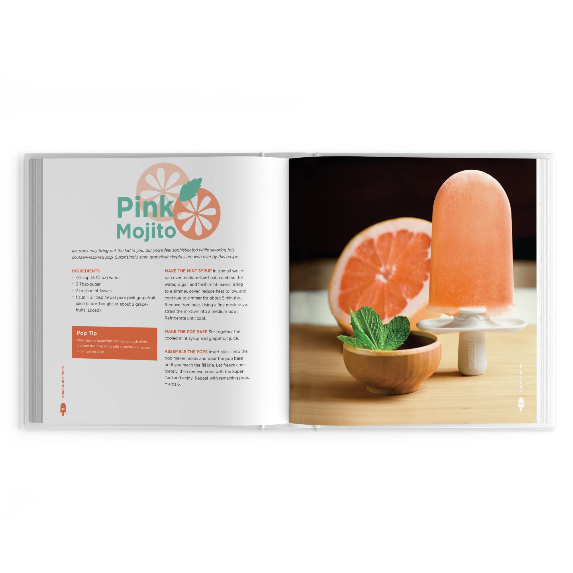 Zoku Quick Pops Recipe Book, Perfect the Art of Popsicle Making used book depot