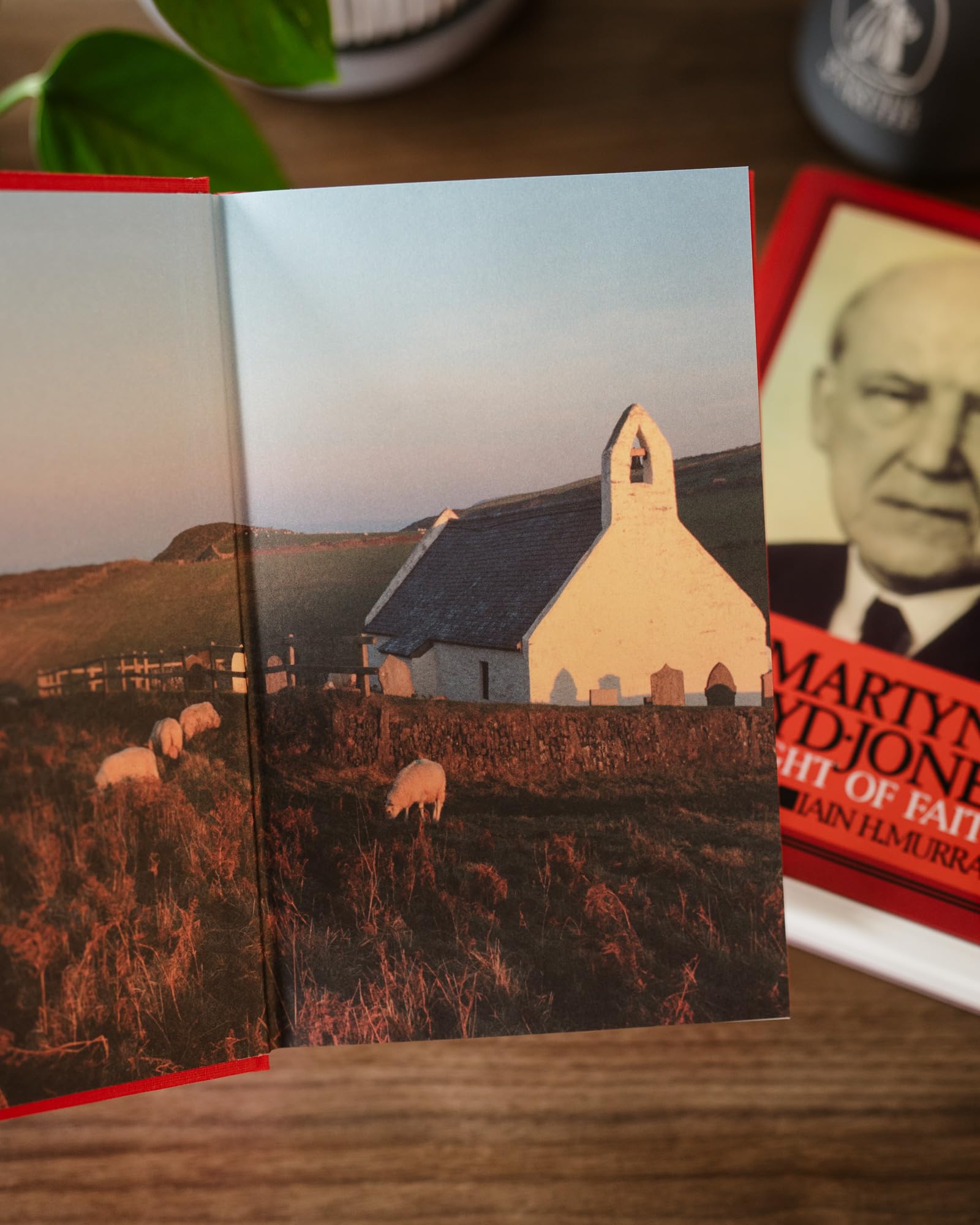 David Martyn Lloyd-Jones the First Forty Years 1899-1939 used book depot