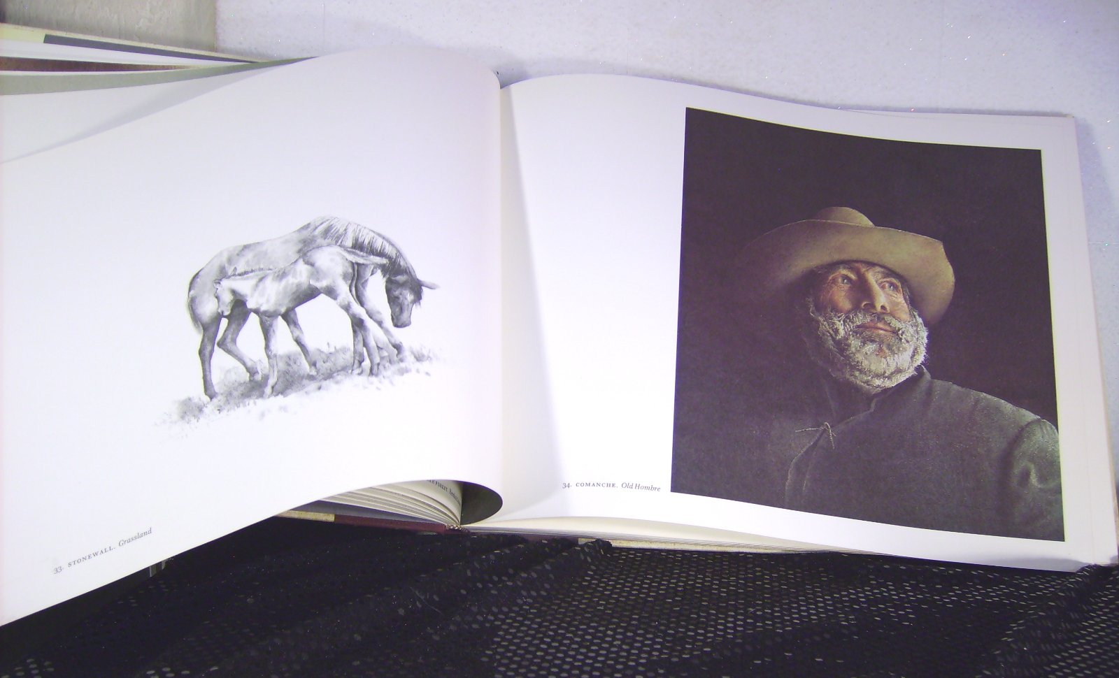 Jericho: The South Beheld used book depot