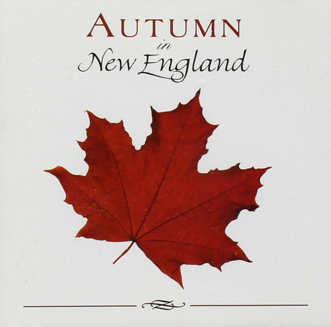 Autumn in New England used book depot