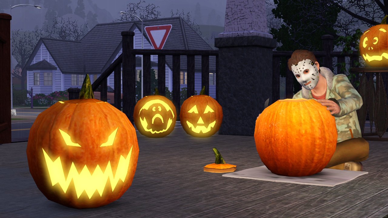 The Sims 3 Seasons used book depot