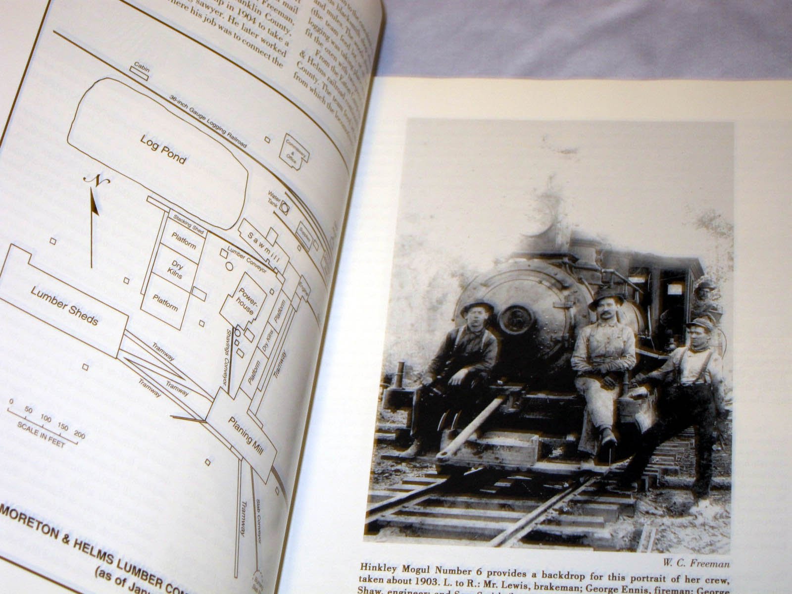 Dummy lines through the longleaf: A history of the sawmills and logging railroads of southwest Mississippi used book depot