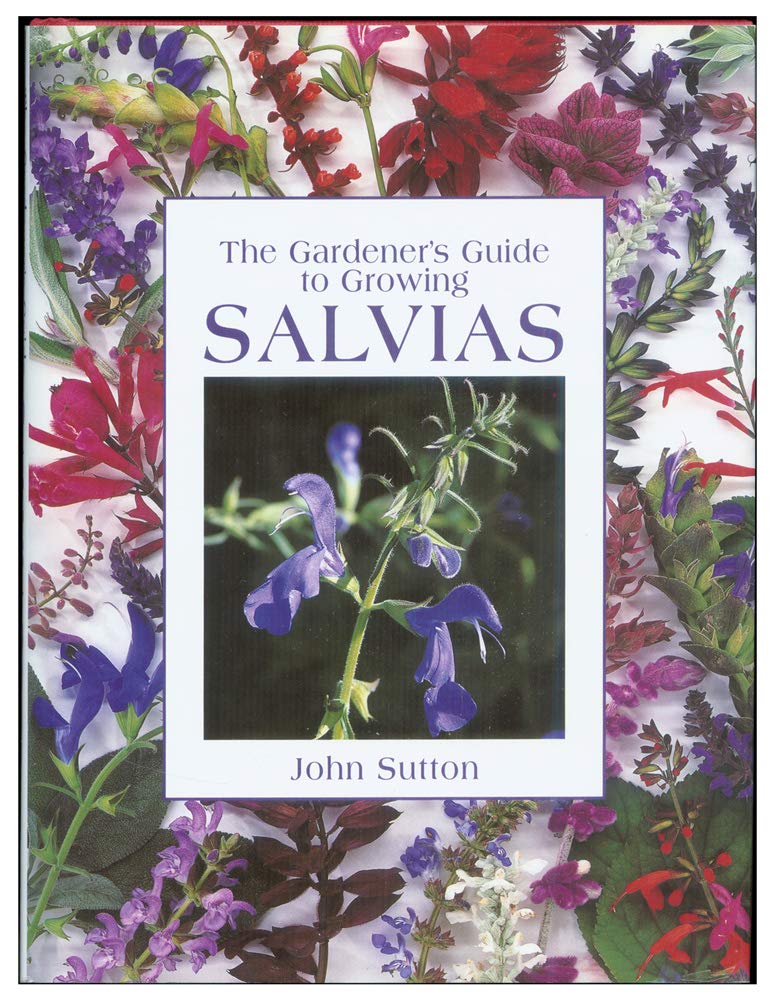 The Gardener's Guide to Growing Salvias used book depot
