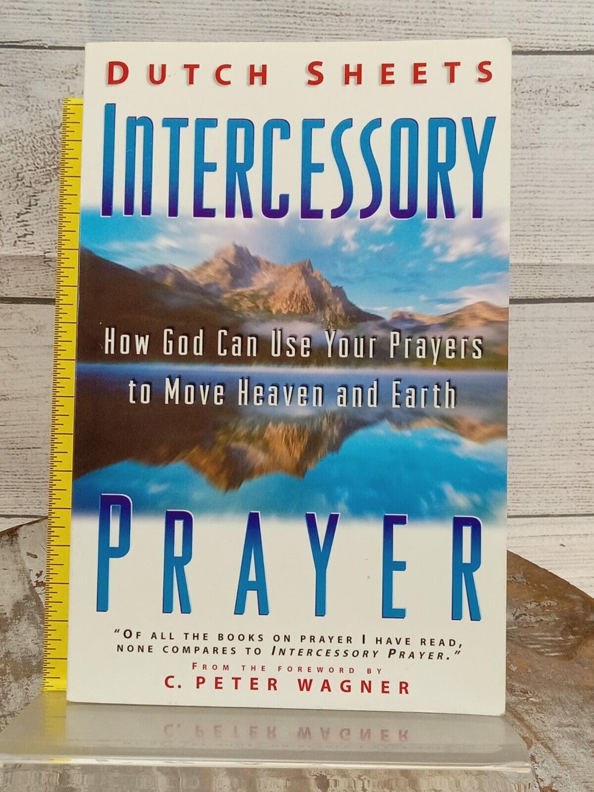Intercessory Prayer: How God Can Use Your Prayers to Move Heaven and Earth