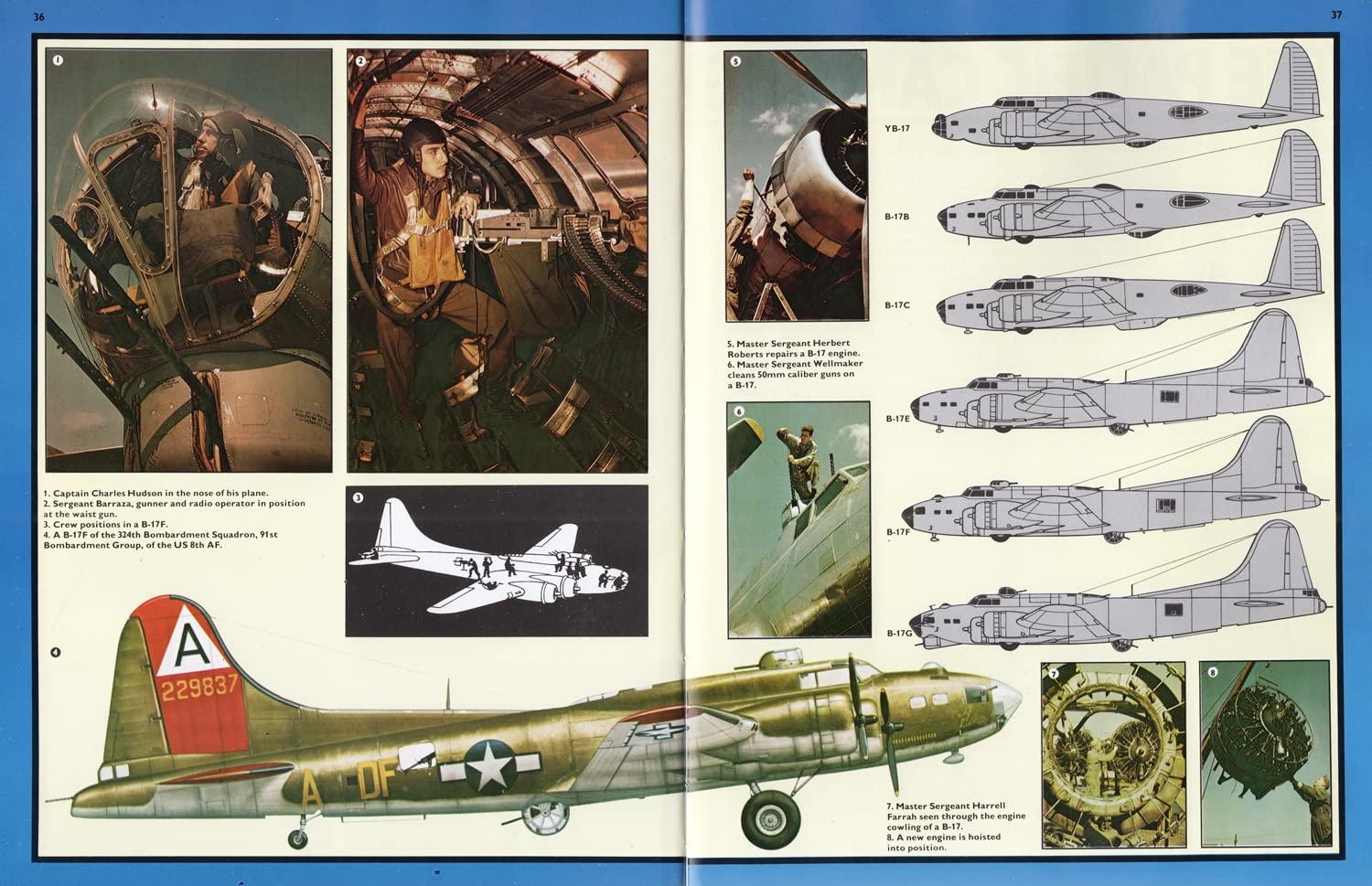 B-17: Flying Fortress used book depot