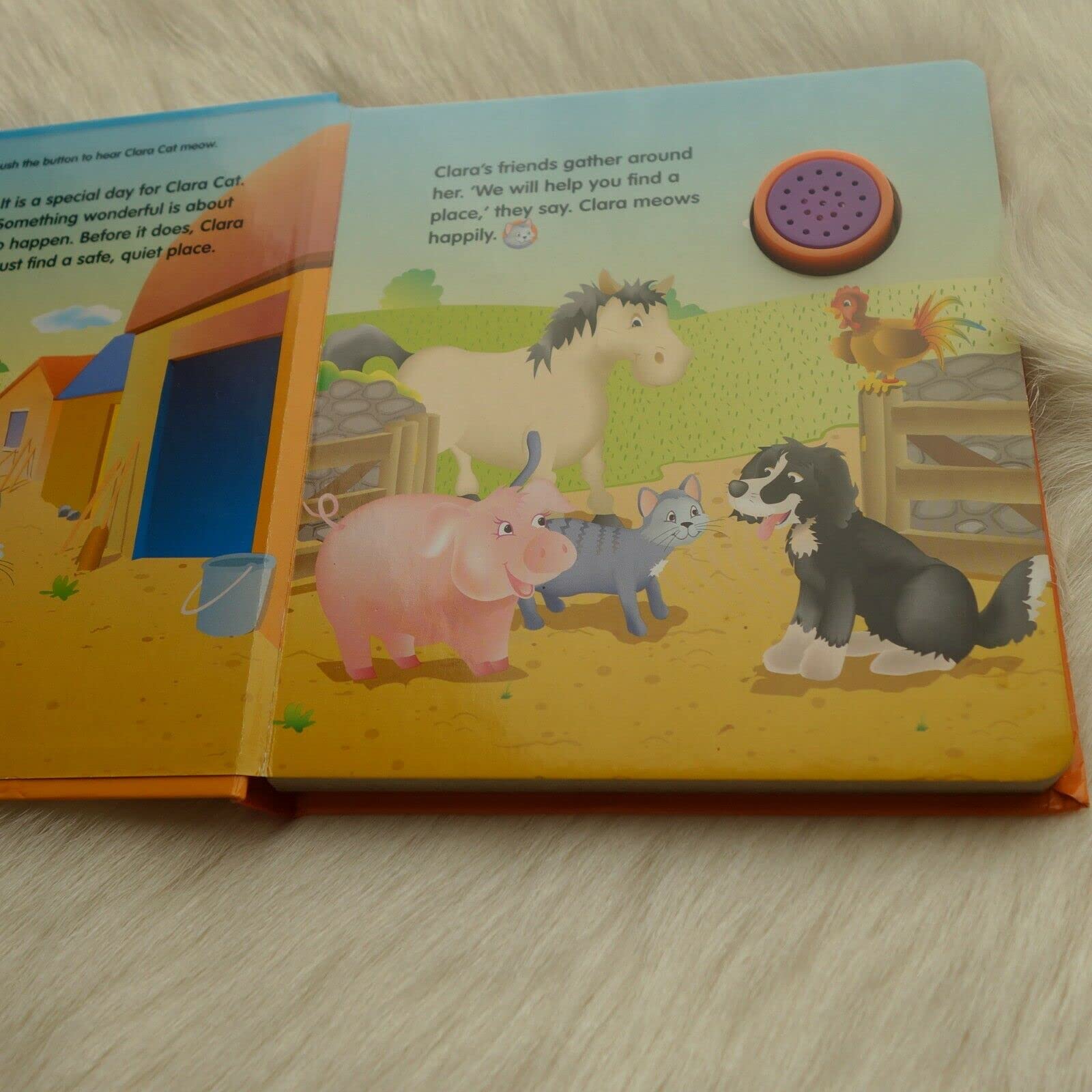 Clara Cat (Magic Sounds Series 2) used book depot