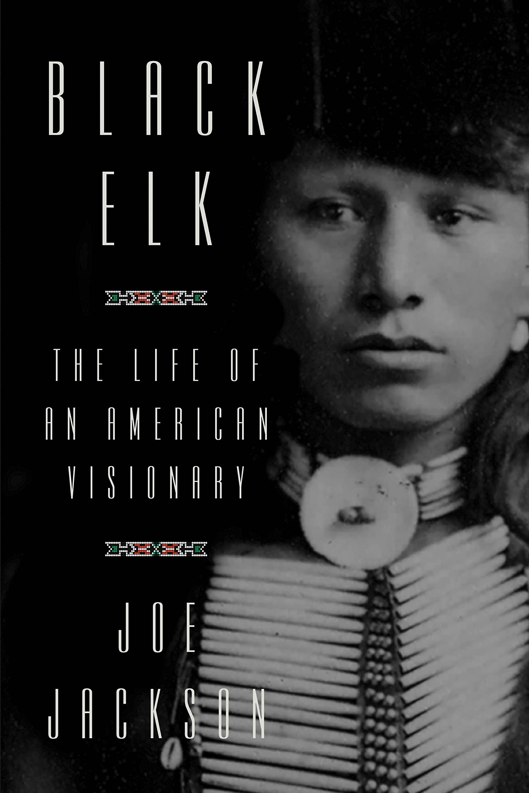 Black Elk: The Life of an American Visionary used book depot