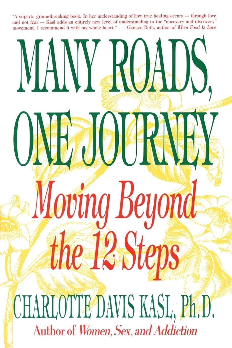 Many Roads One Journey: Moving Beyond the 12 Steps used book depot
