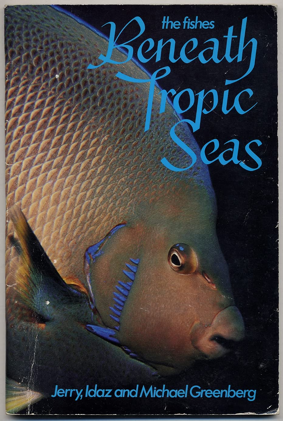 The Fishes Beneath Tropic Seas used book depot
