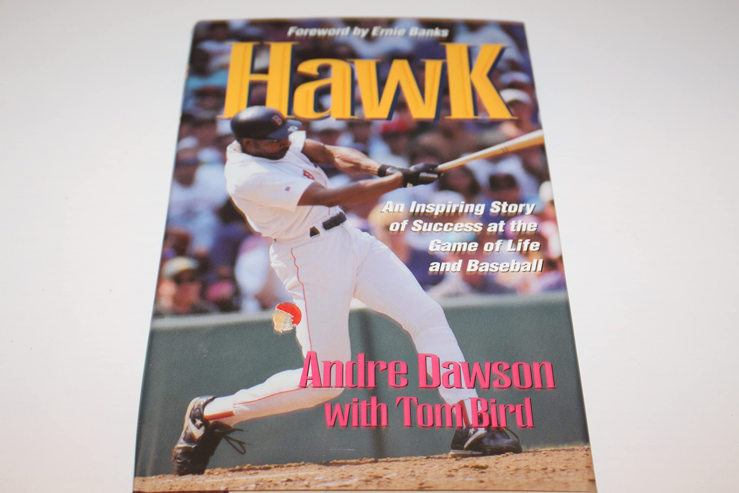 Hawk: An Inspiring Story of Success at the Game of Life and Baseball used book depot