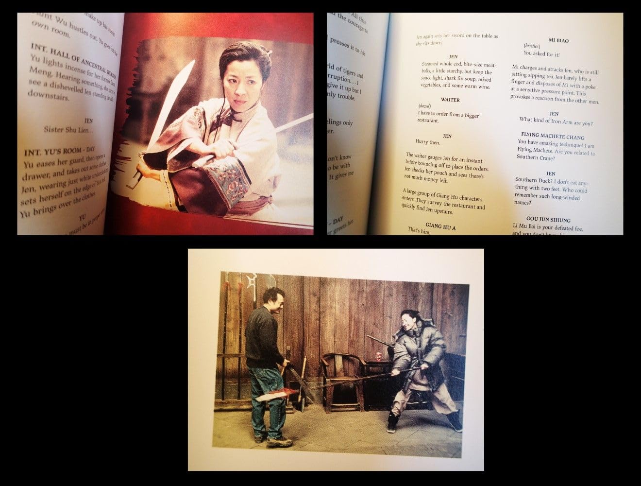 Crouching Tiger, Hidden Dragon: A Portrait of the Ang Lee Film (Pictorial Moviebook) used book depot