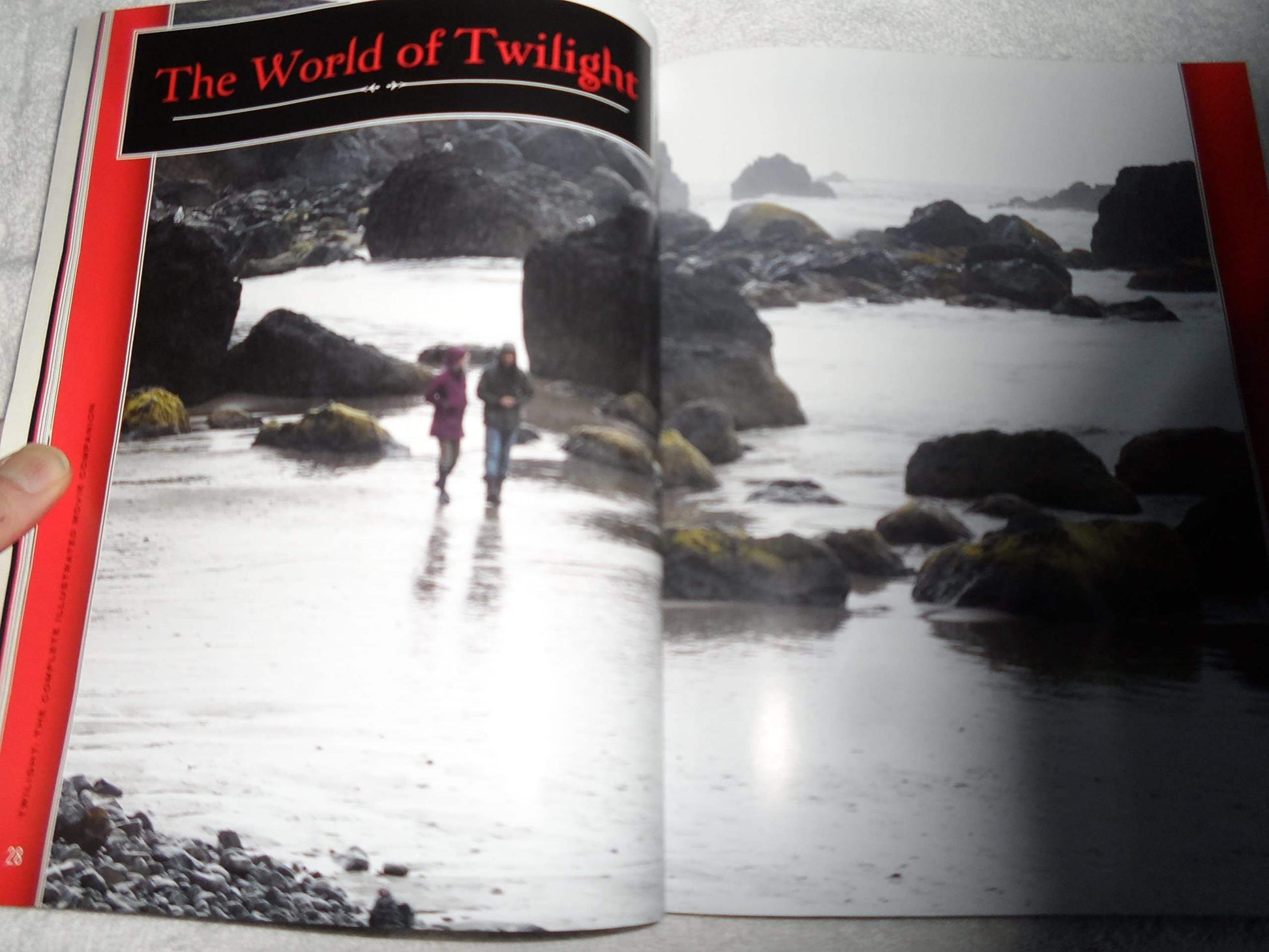 Twilight: The Complete Illustrated Movie Companion used book depot