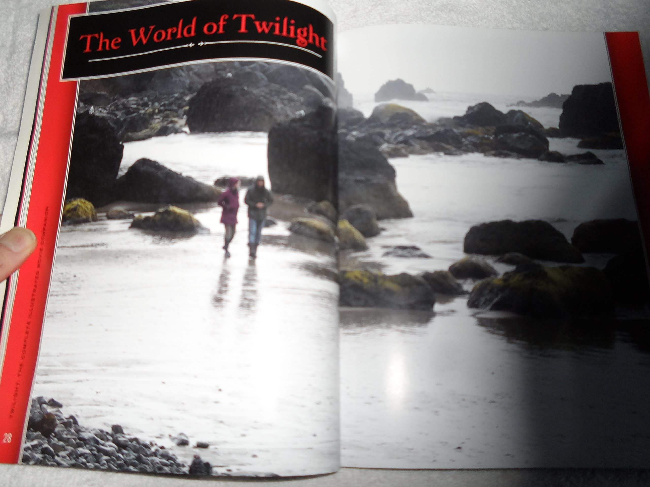 Twilight: The Complete Illustrated Movie Companion used book depot