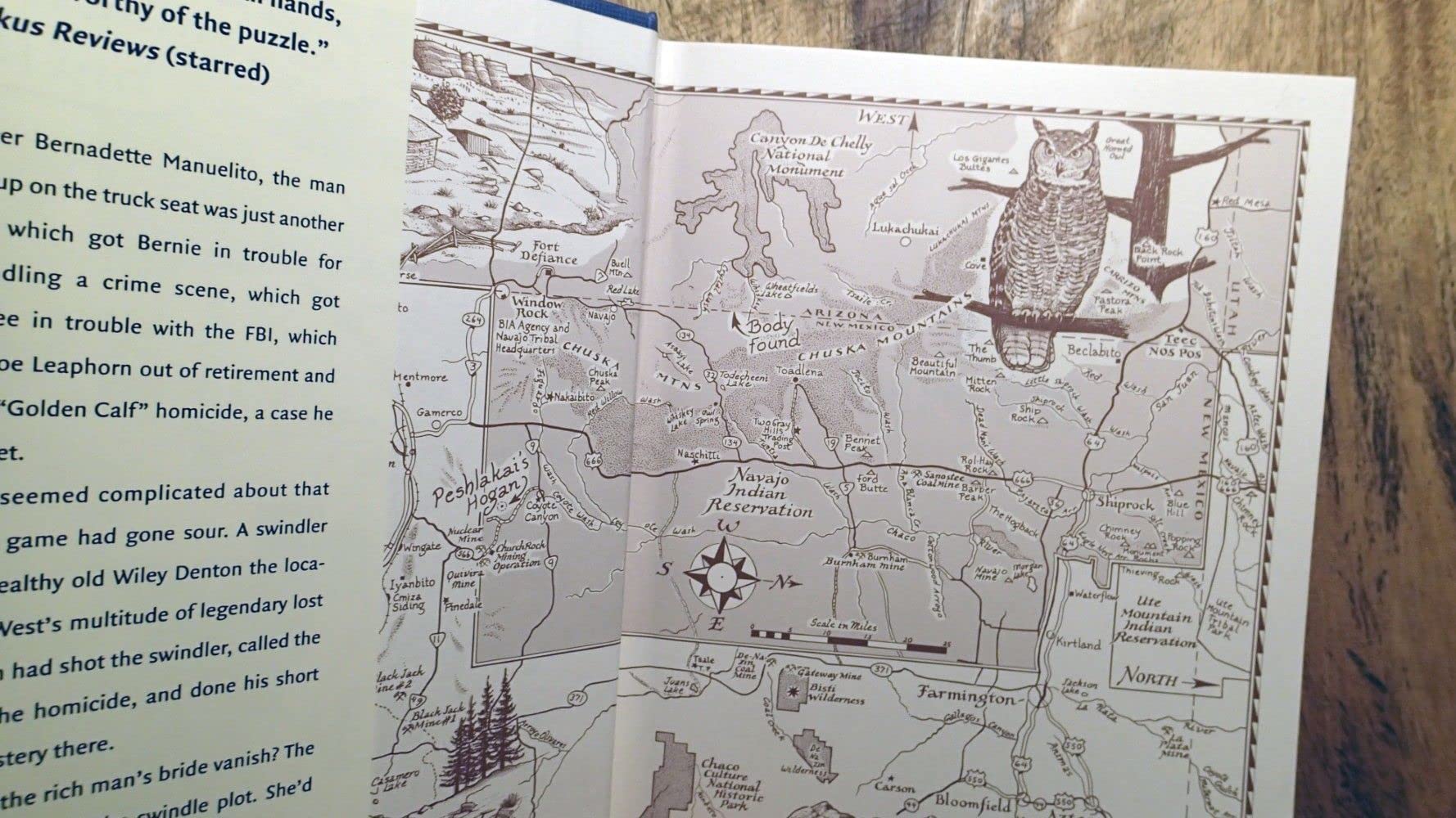 The Wailing Wind used book depot