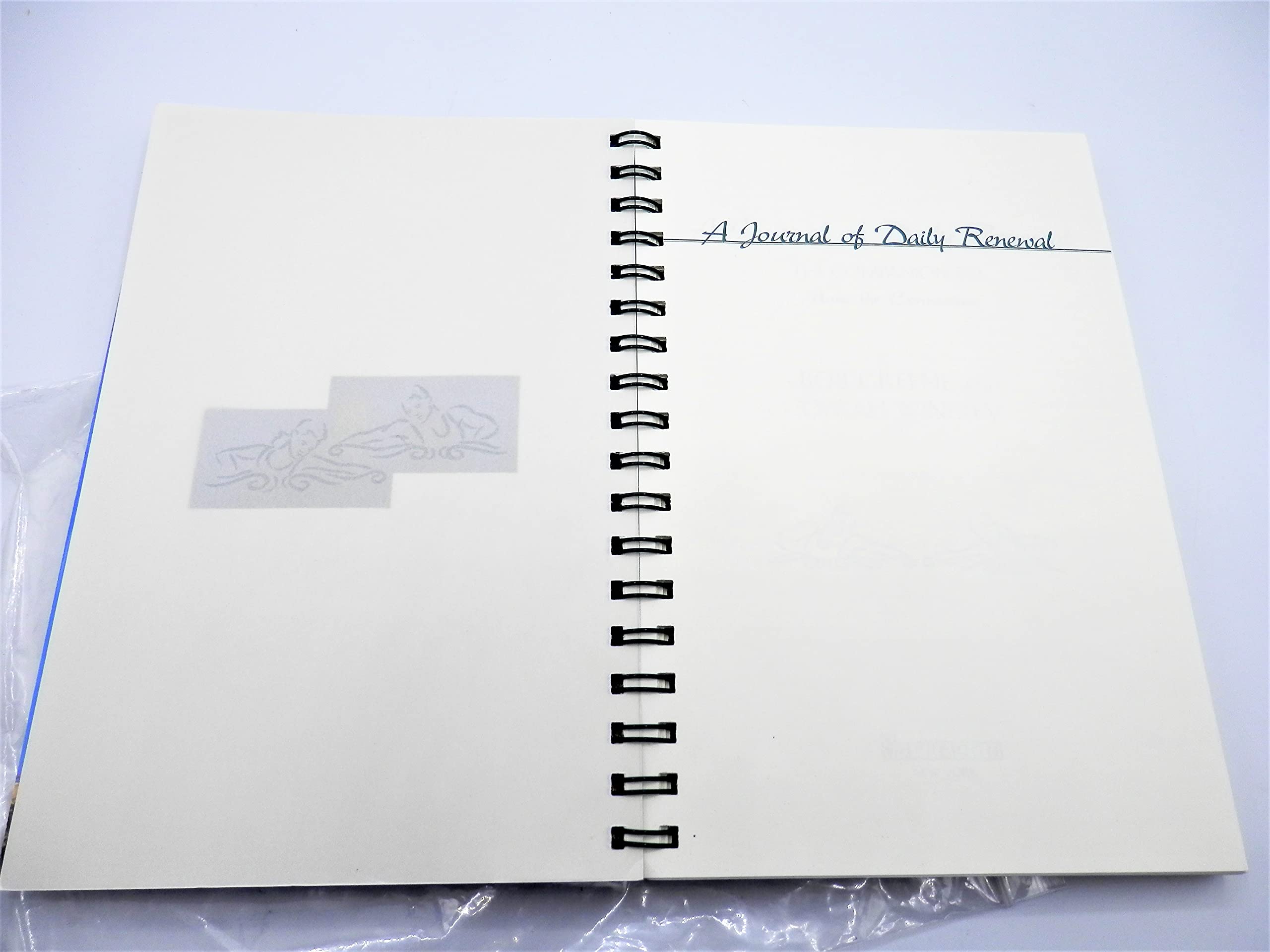 The Journal of Daily Renewal: The Companion to Make the Connection used book depot