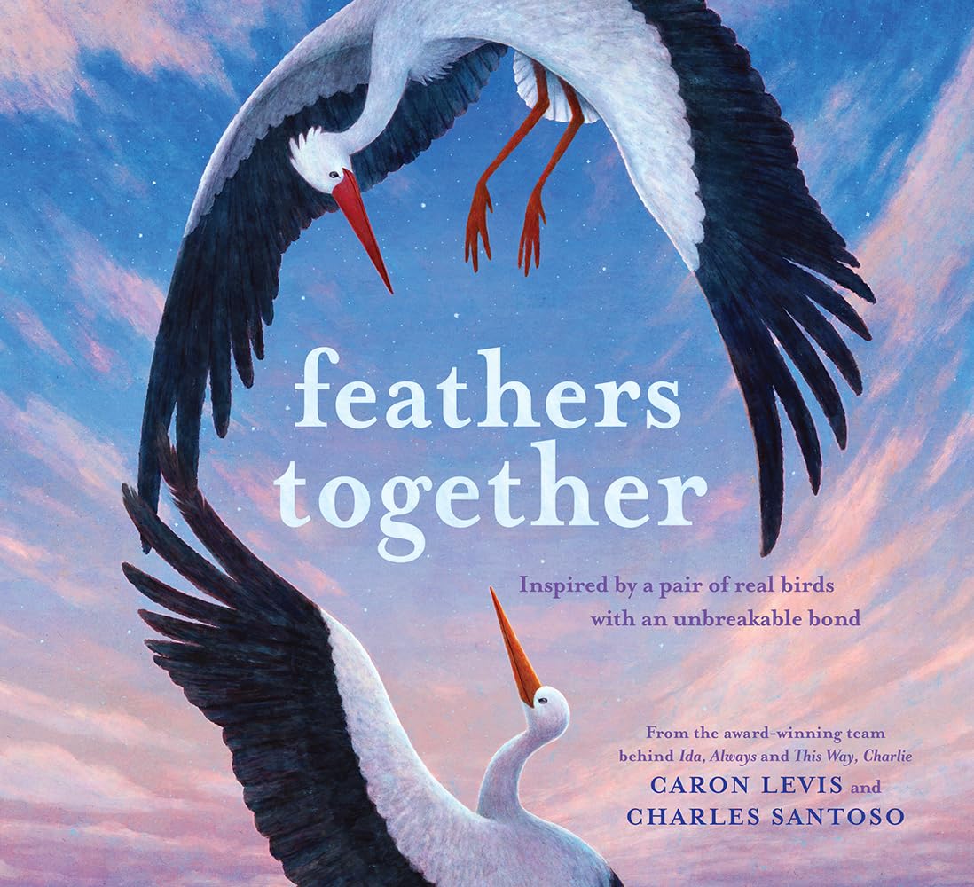 Feathers Together: A Picture Book (Feeling Friends) used book depot