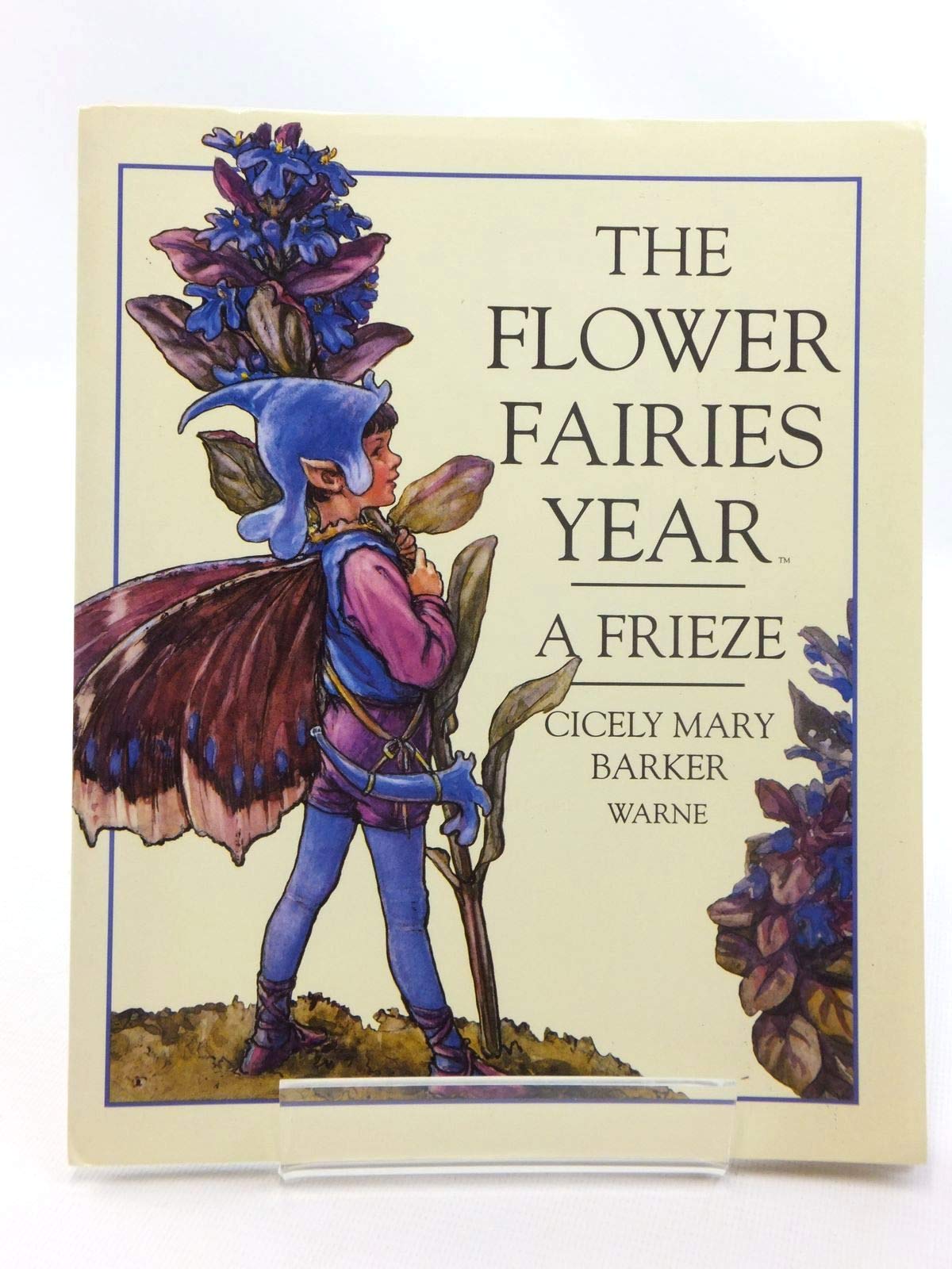 The Flower Fairies Year: A Frieze used book depot