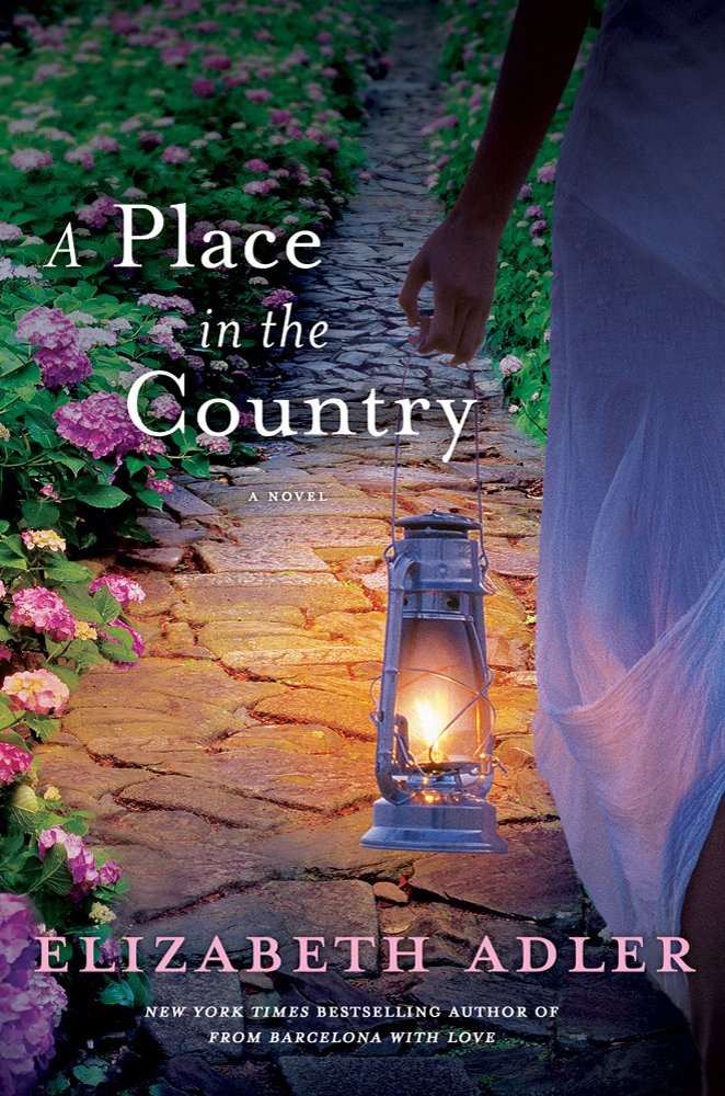 A Place in the Country used book depot