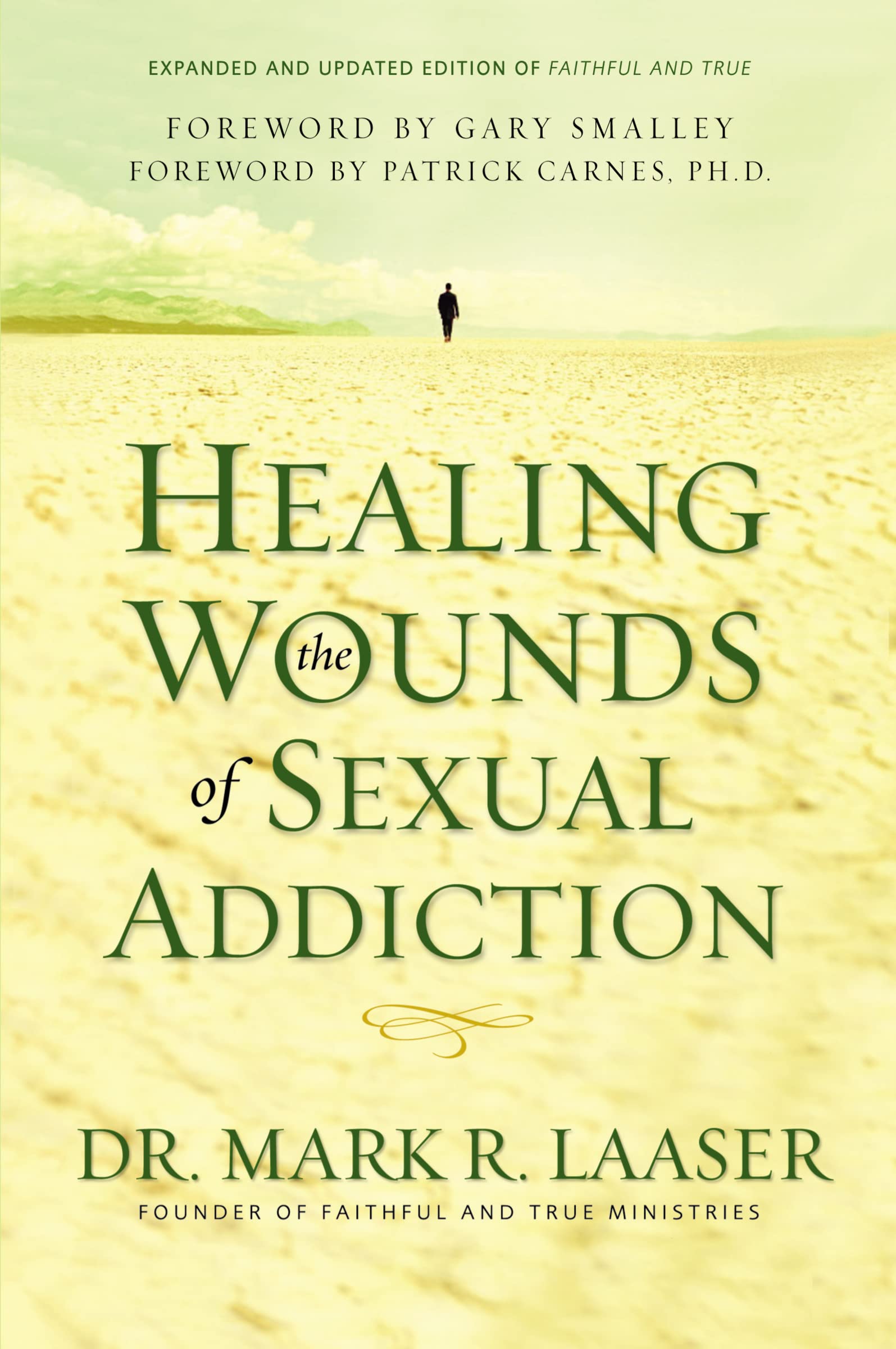 Healing the Wounds of Sexual Addiction: Discover the Practical and Spiritual Steps to Lasting Recovery used book depot