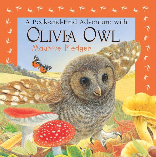 A PeekandFind Adventure with Olivia Owl Maurice Pledger Peek and Find Pledger, Maurice