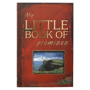 My Little Book of Promises used book depot