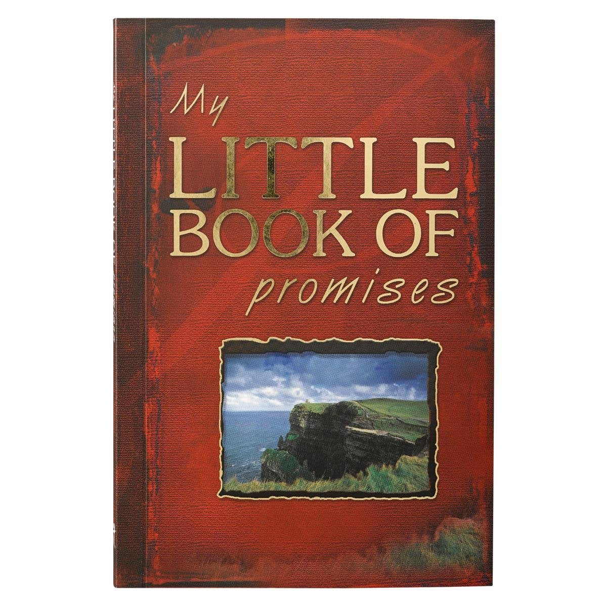 My Little Book of Promises used book depot