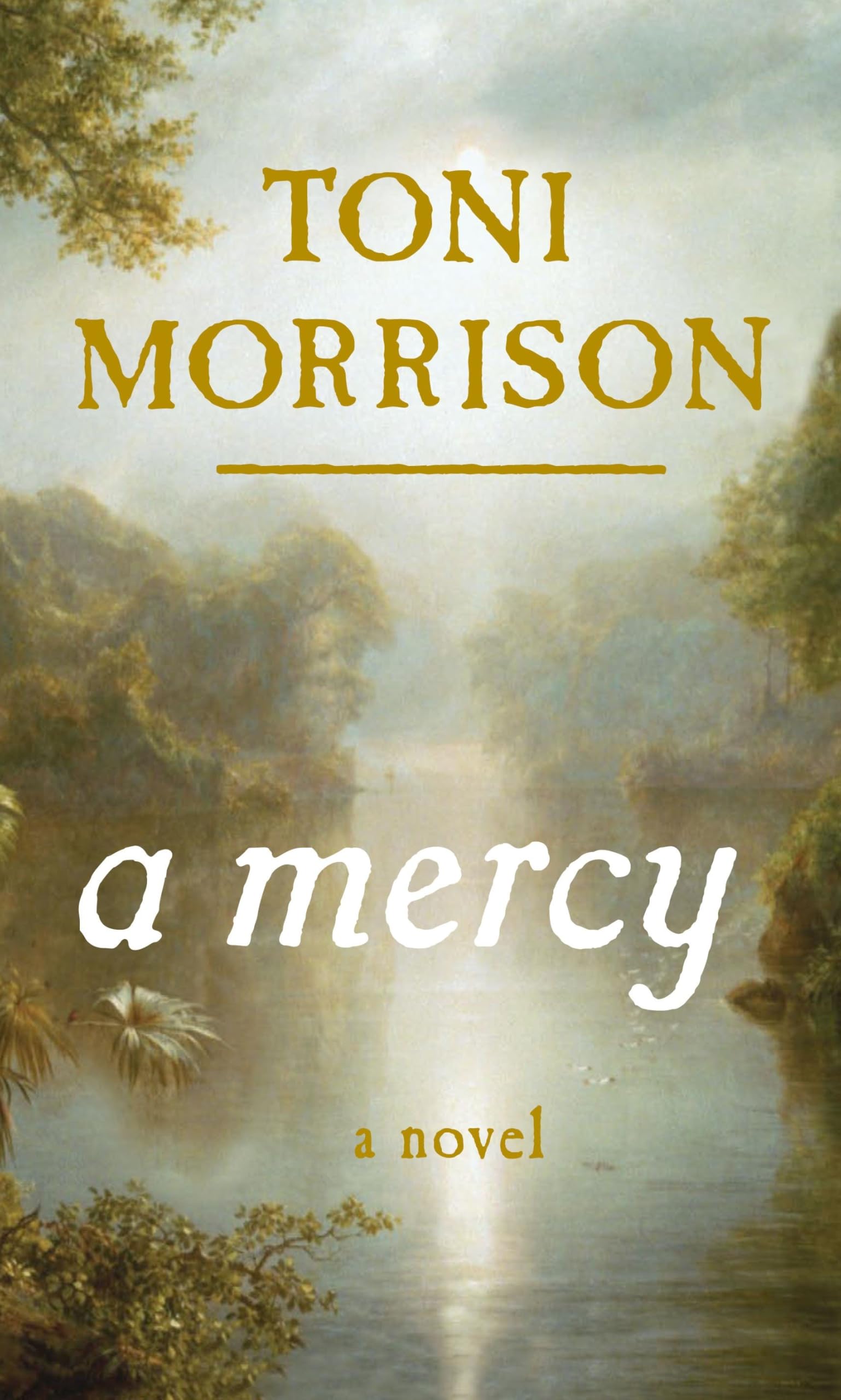 A Mercy used book depot