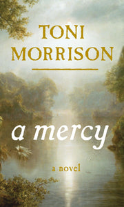 A Mercy used book depot