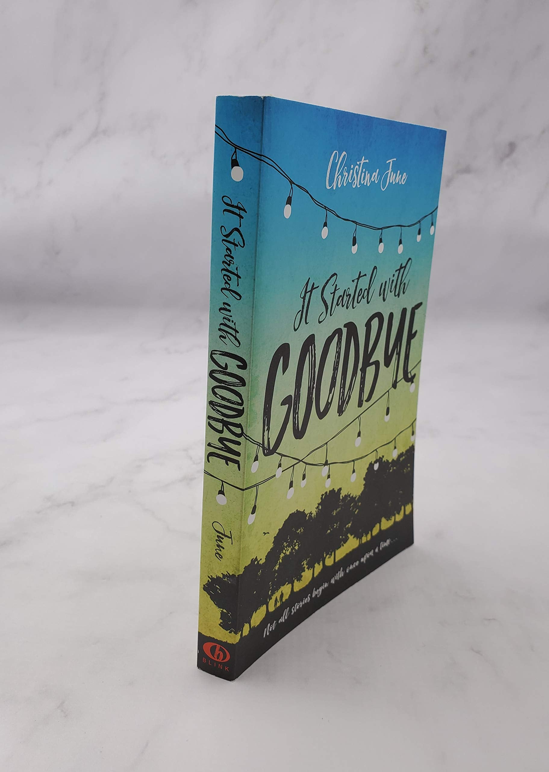It Started with Goodbye used book depot