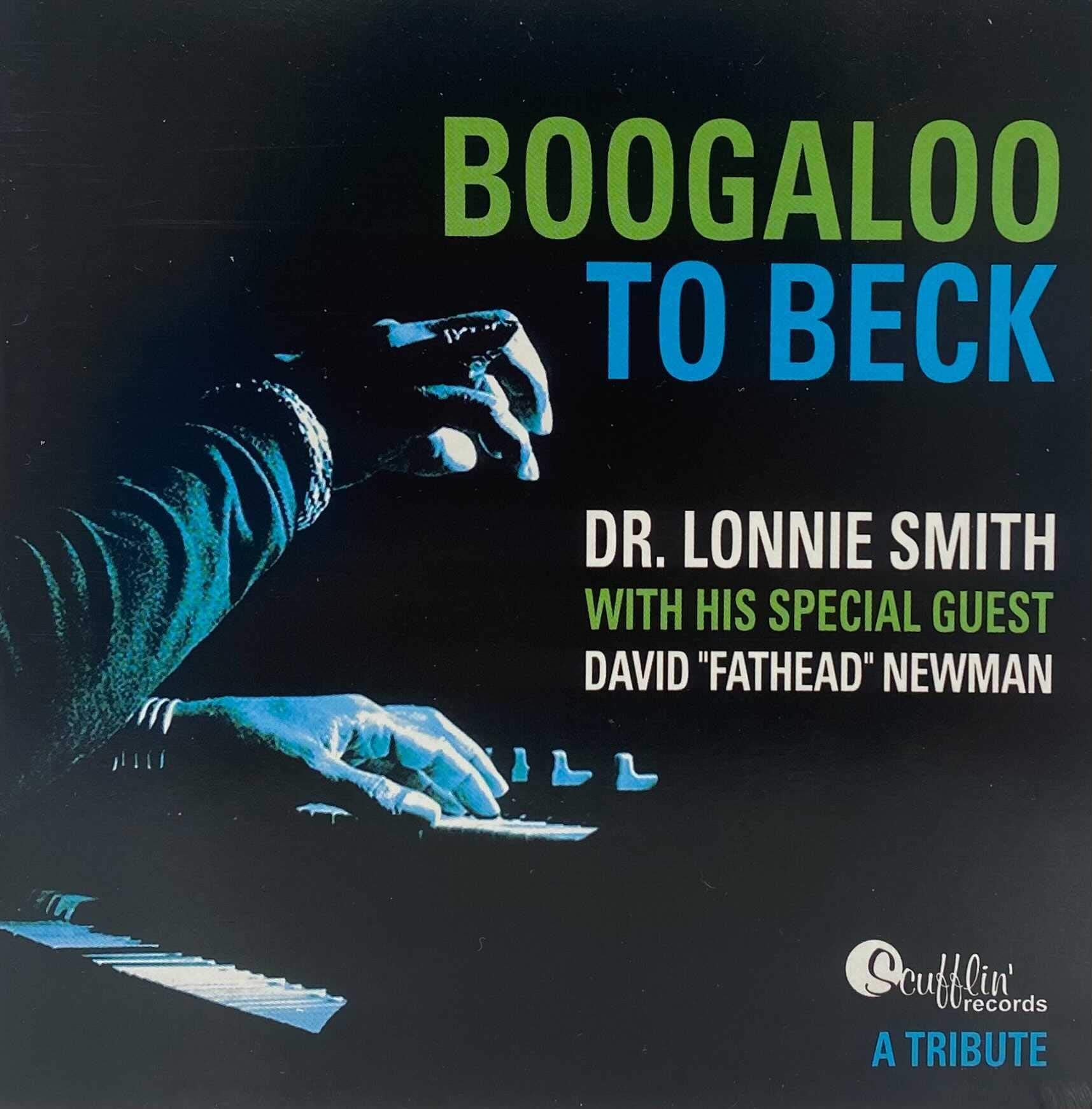 Boogaloo to Beck: A Tribute used book depot