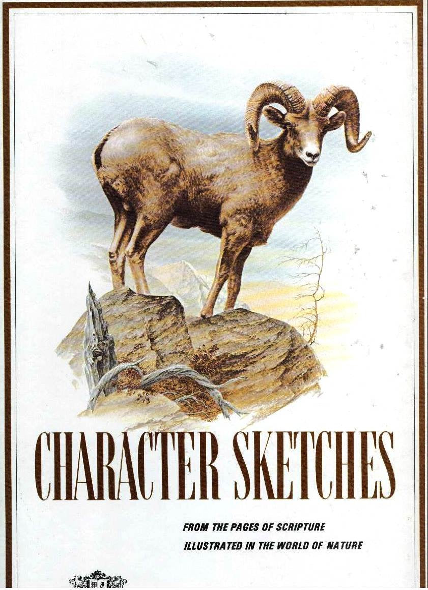 Character Sketches: From the Pages of Scripture, Illustrated in the World of Nature, Vol. 2 .com used book depot