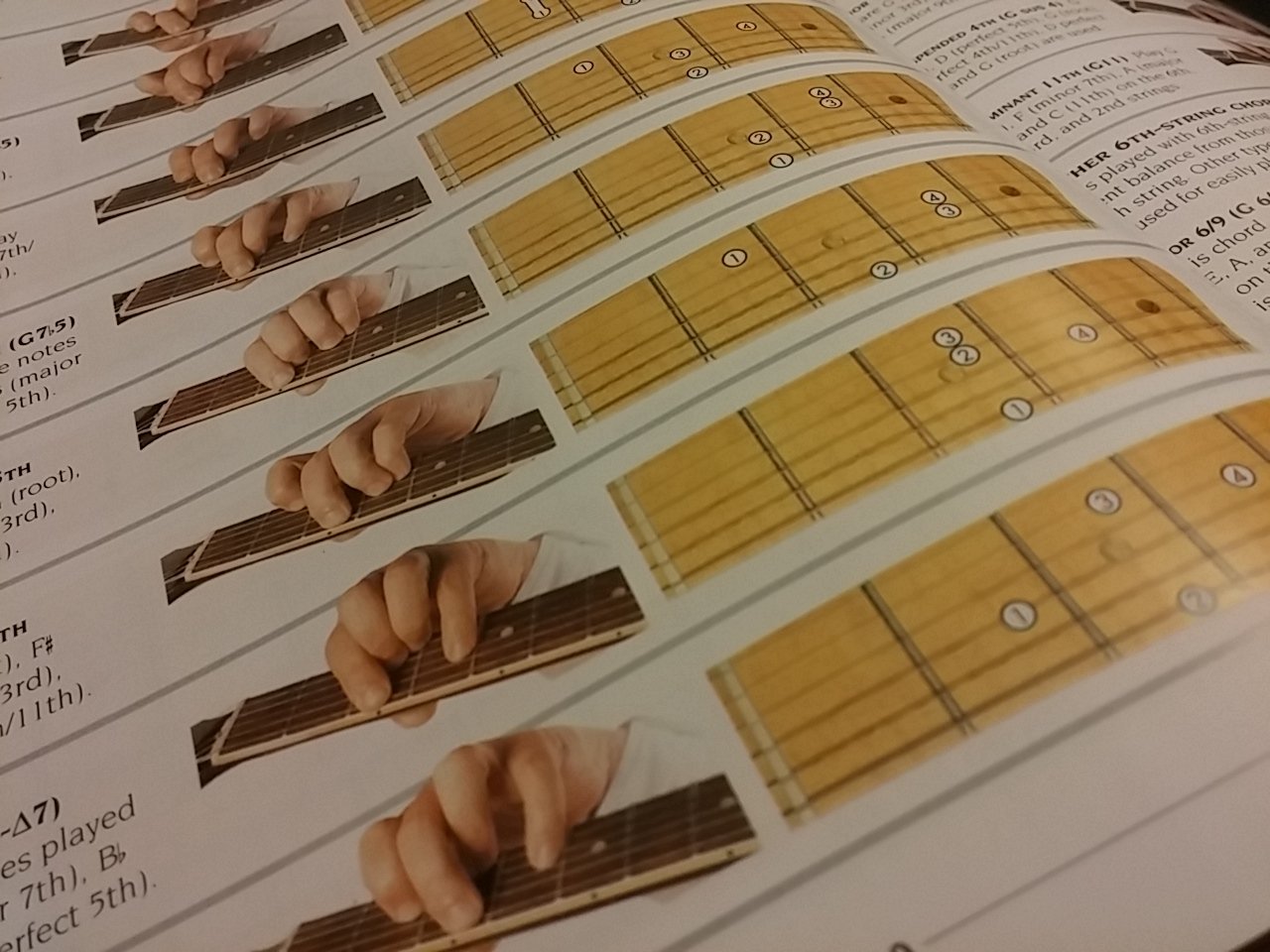 The New Complete Guitarist used book depot