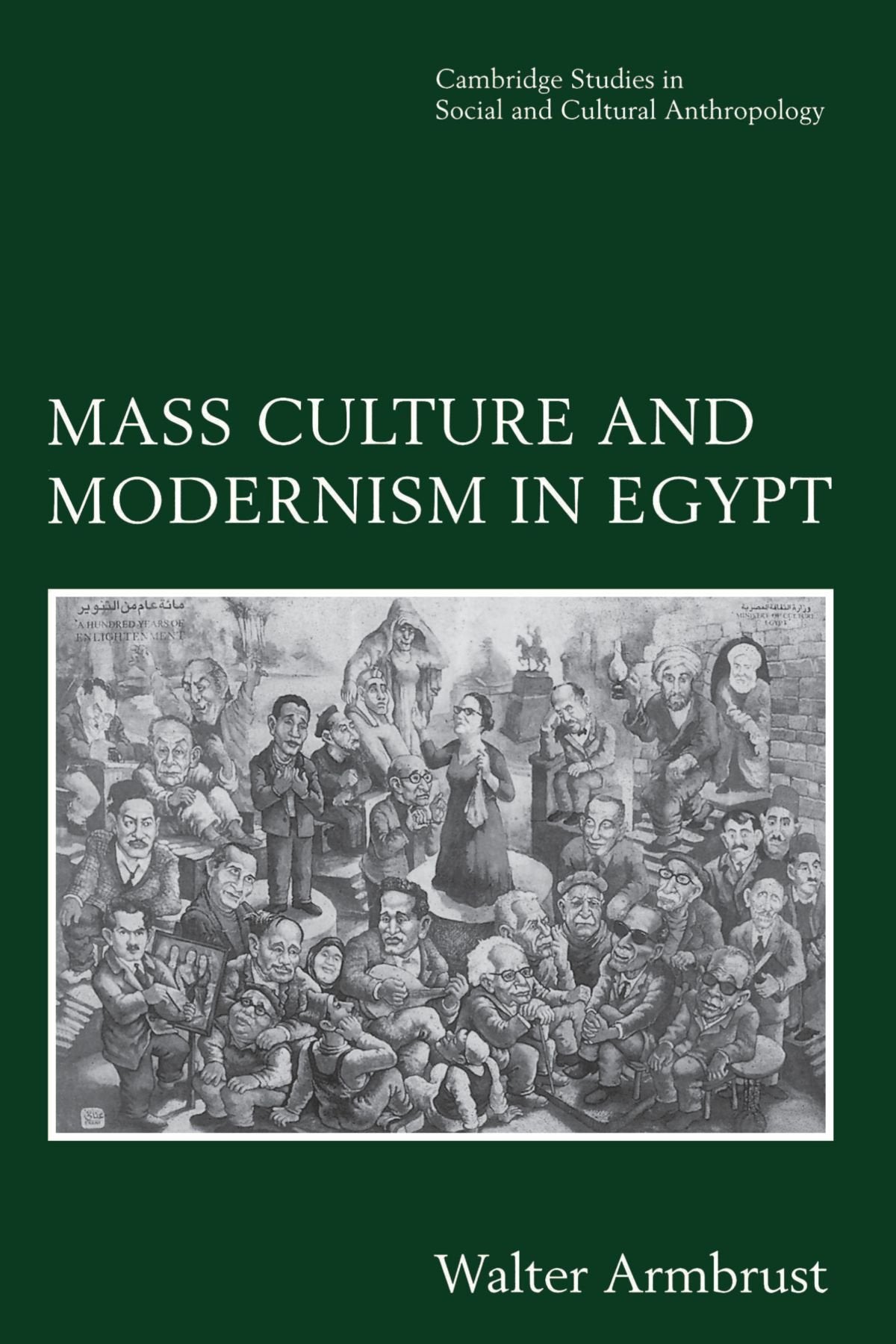 Mass Culture and Modernism in Egypt (Cambridge Studies in Social and Cultural Anthropology, Series Number 102) used book depot