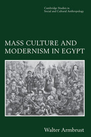 Mass Culture and Modernism in Egypt (Cambridge Studies in Social and Cultural Anthropology, Series Number 102) used book depot