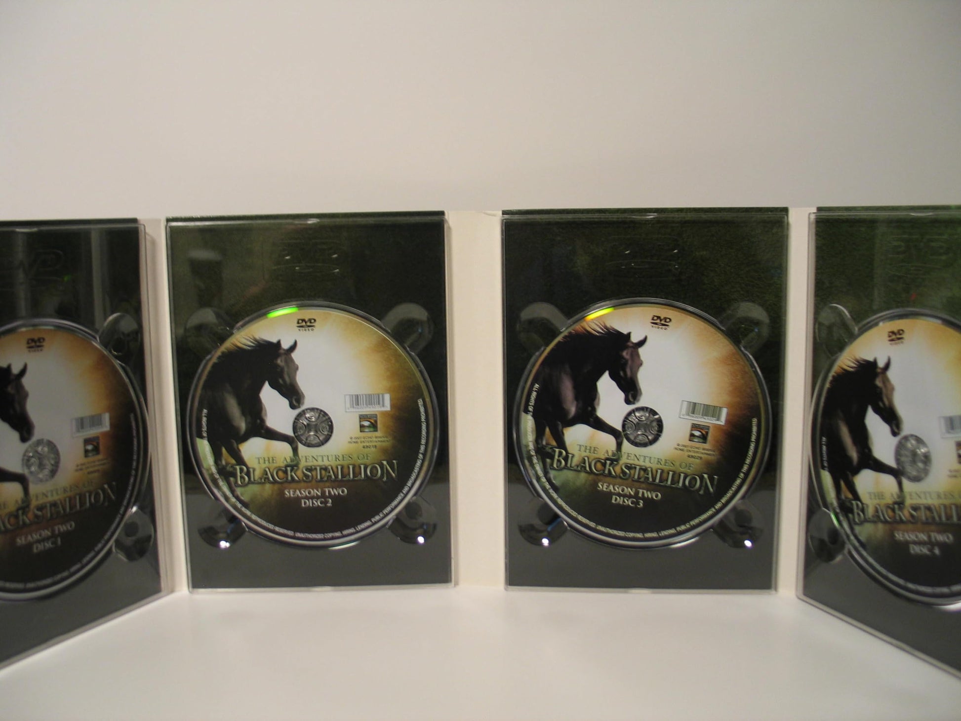 The Adventures of the Black Stallion: Season 2 used book depot