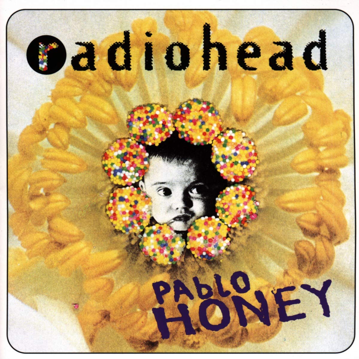Pablo Honey used book depot