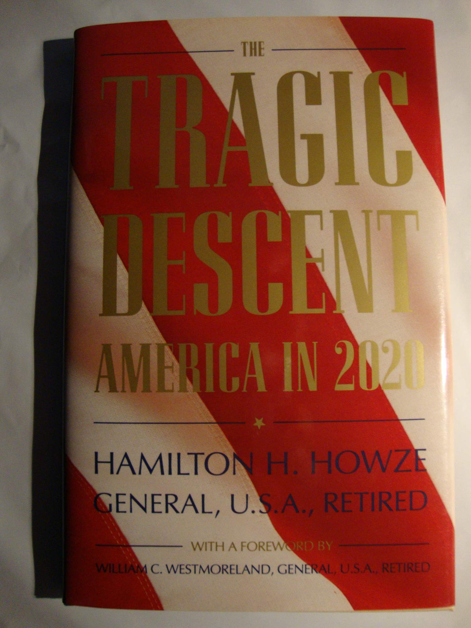 The Tragic Descent: America in 2020 used book depot