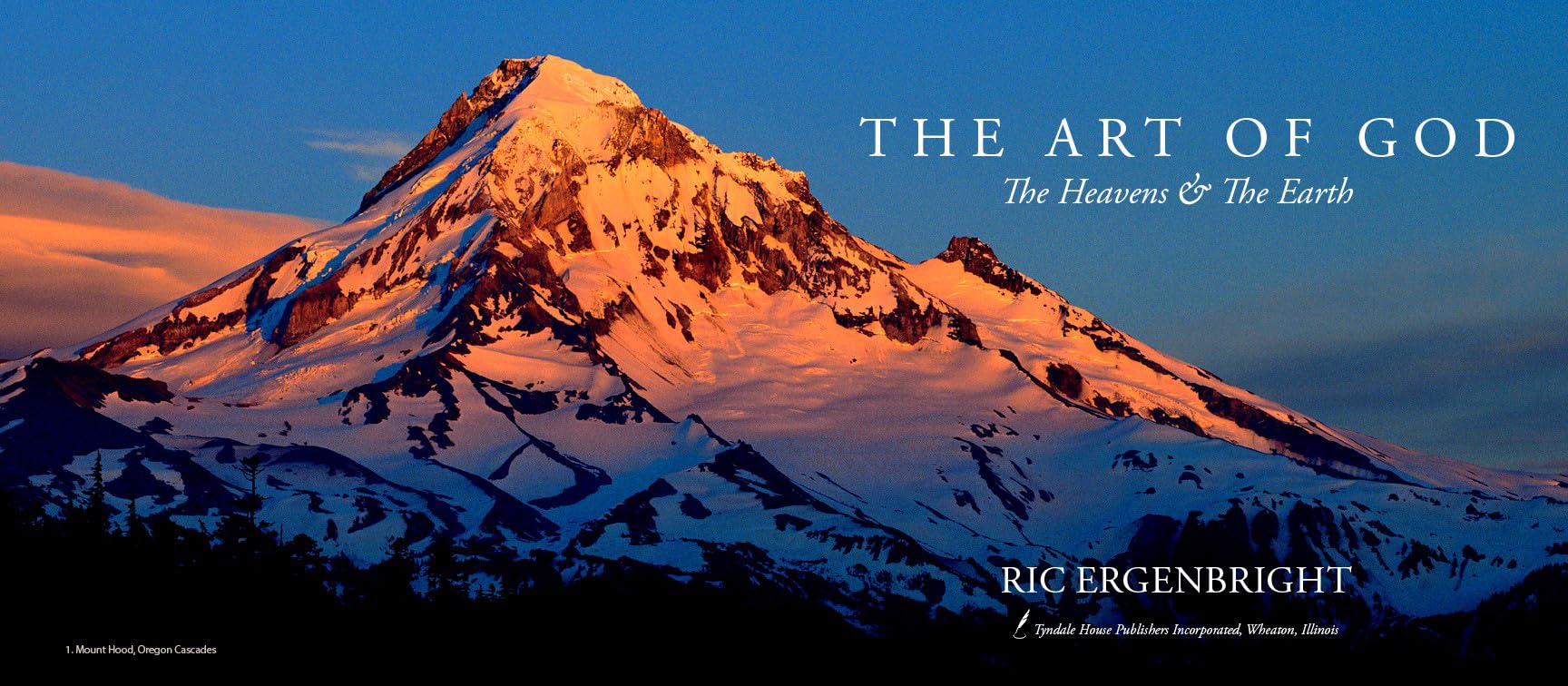 The Art of God used book depot