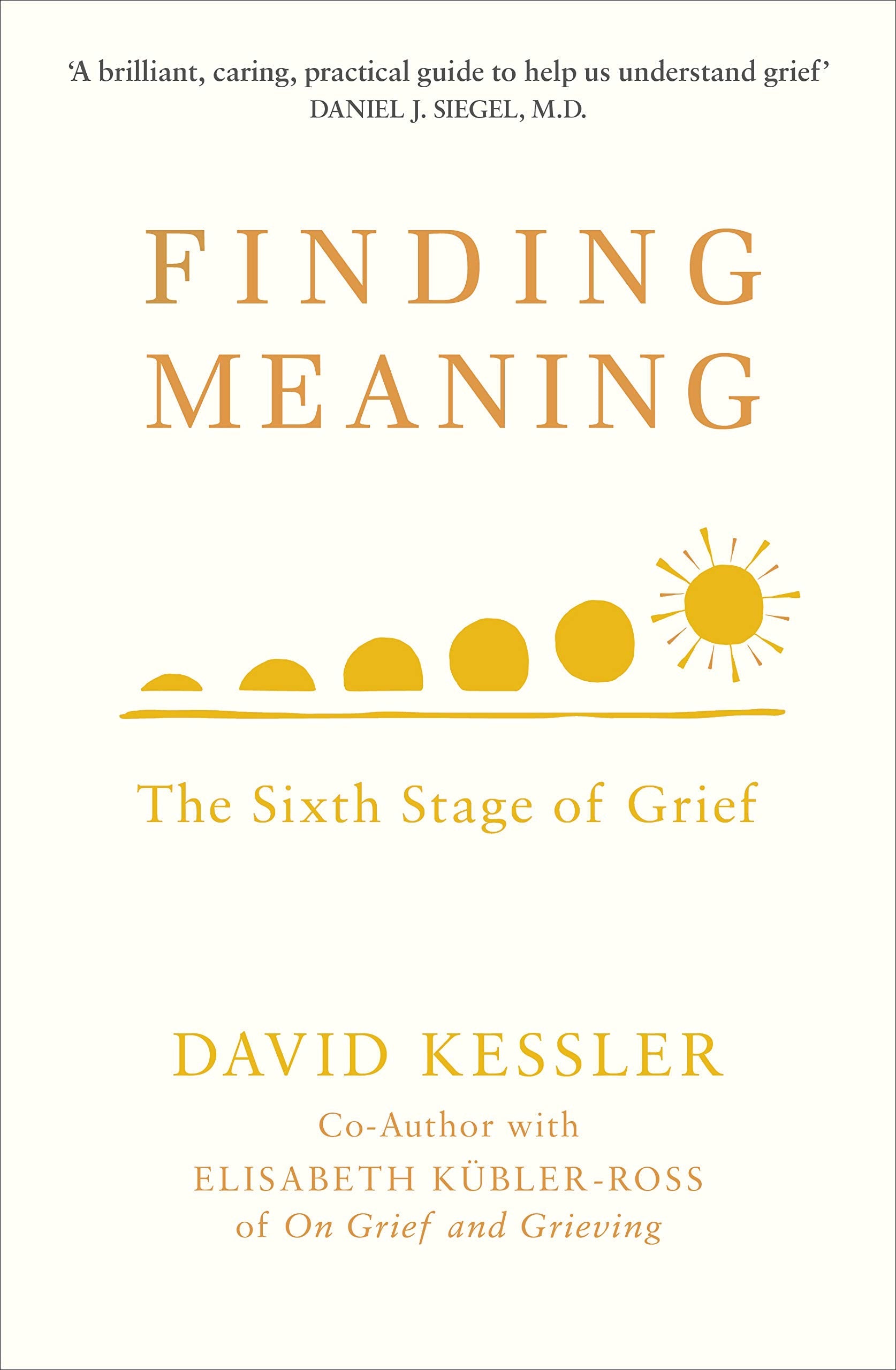 Finding Meaning: The Sixth Stage of Grief used book depot