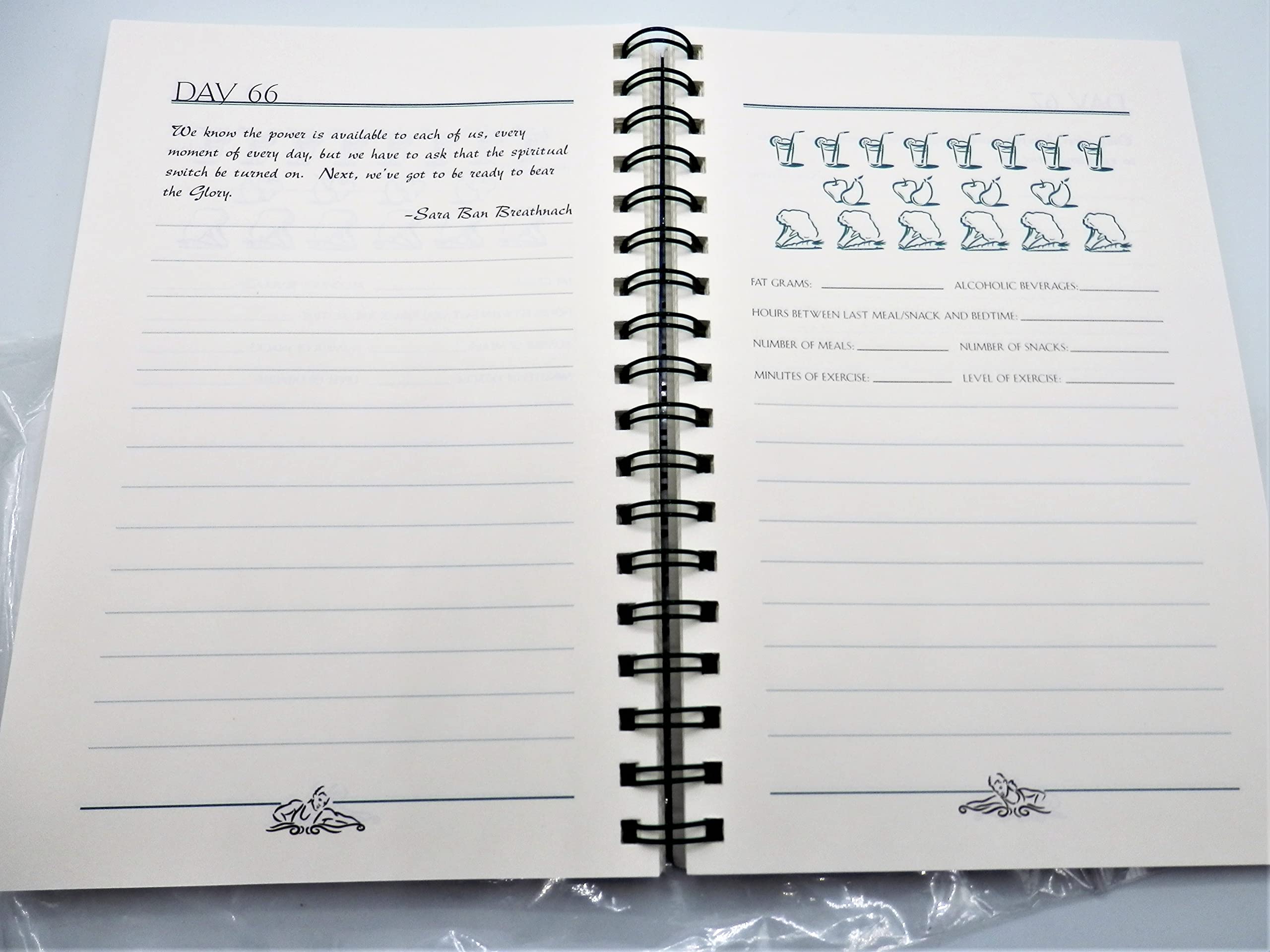 The Journal of Daily Renewal: The Companion to Make the Connection used book depot