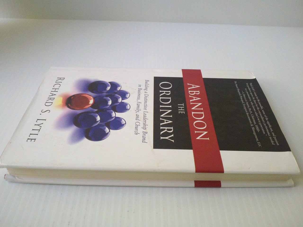 Abandon the Ordinary: Building a Distinctive Leadership Brand in Business, Family, and Church